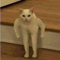 BigVikingD123 Avatarfoto