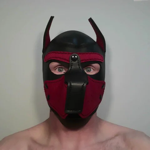 porn_bdsm profile photo