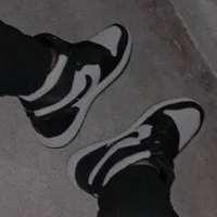 will_wp's Profile Pic