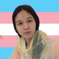 RebelAura webcam
