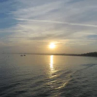 Foto do avatar de wickedpickle69