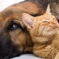 Avatar obrázek Hello_sweetie