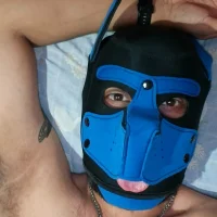 Gesyer's Profile Pic