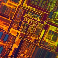 Image d’avatar de rook___