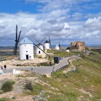 PlightedYale 头像图片