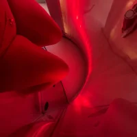 letisha519's Profile Pic