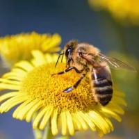 Steven91988 – Avatar fotka