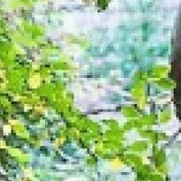 CluttavillaBn 아바타 사진