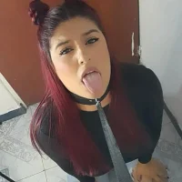 hammy_st5 webcam
