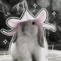 รูปอวาตาร์ของ My_Cute_Little_Bunny