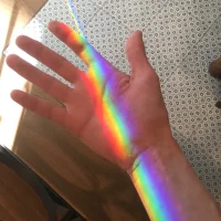 Linkolns@xh's Profile Pic