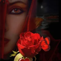 samsarahot's Profile Pic