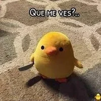 Image d’avatar de HollowKnight69