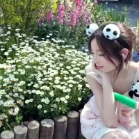 SR-101 Φωτ, Προφίλ