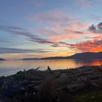 Lovebug84_ Adlı Modelin Avatarı