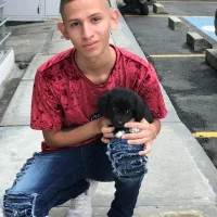 Carlos_bb's Profile Pic