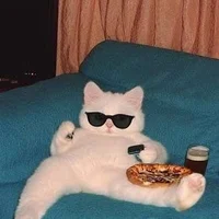 les_mod_stickyy's Offline Chat Room