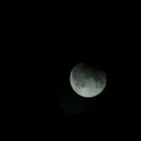 lostsoulinspace Gambar Avatar