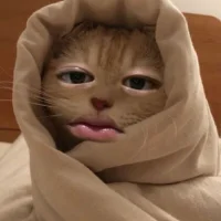 Foto del avatar de kaikaimandayonn