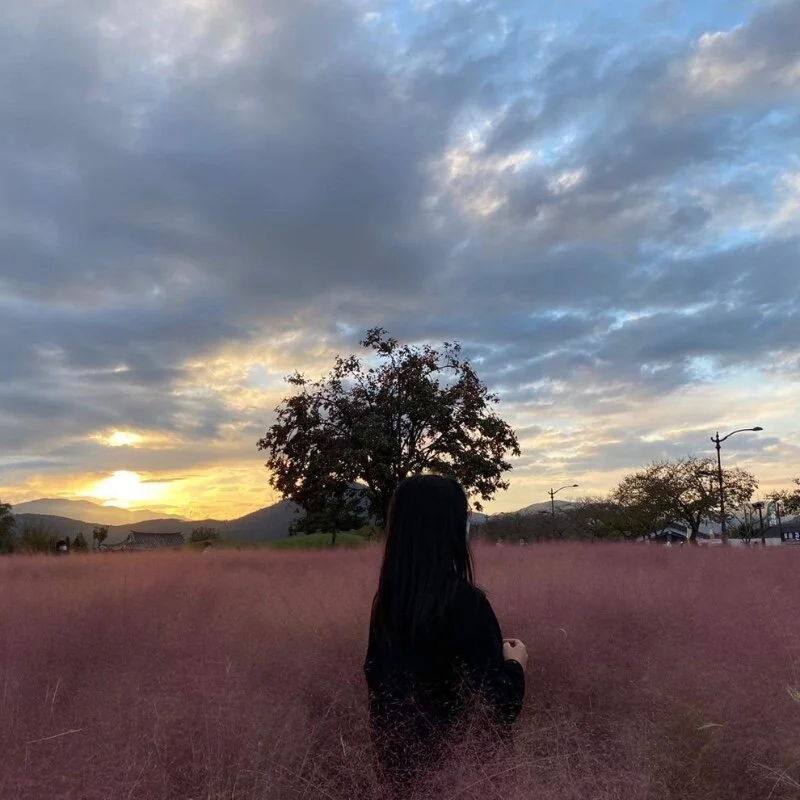 Koreanpickles profile photo