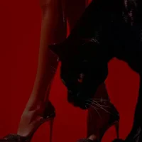 ToxicDomme - Profil Fotoğrafı