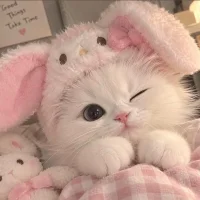 paopao-999 아바타 사진