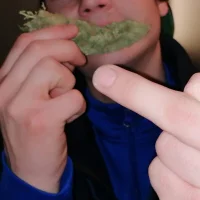 Bigdick420anal's Avatar Pic