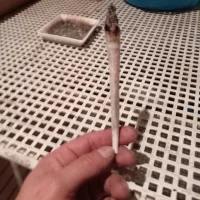 Foto do avatar de SO-UNICO