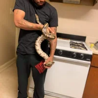 KingSlay91's Avatar Photo