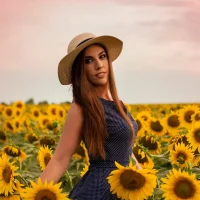 perfect_view Φ ωτ, Προφίλ