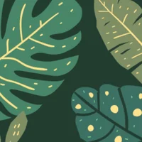 whitechoc07306@xh's Profile Pic