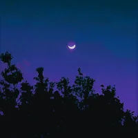 1luvlittletitties' Avatar Pic