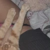 Sex Photo of sapequinh09