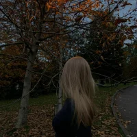 Foto do avatar de JammieMickiewicz