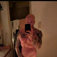 Модель nicedicknicetats