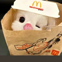 qiqi0623's Avatar Pic