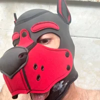 รูปโปรไฟล์ของ pupdaddy100