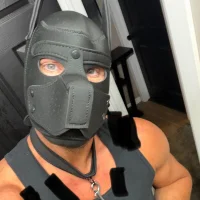 bdsmbear4cubのプロフィール写真