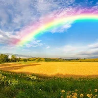 JustaRainbowのアバター写真