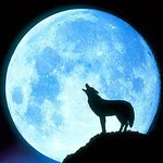 birango's Avatar Pic