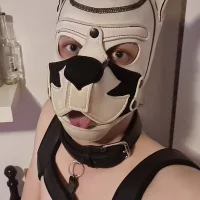 PupGanja's Profile Pic