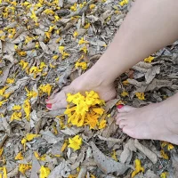 MiradaProhibida's Avatar Pic