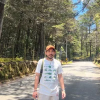 Vajda-