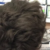 hakimcc1's Profile Pic