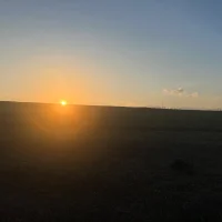TheFuckCan's Profile Pic
