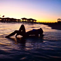 LaylaFlyy's profilbilde