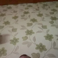 MadSecret's Profile Pic