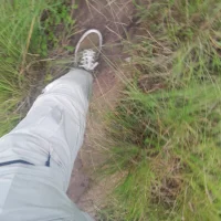 Dennis0847s Profilfoto