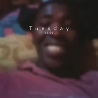 Corkdicker webcam