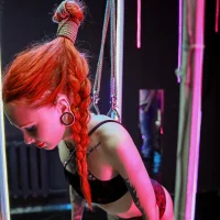 RED_FOX95's Profilbild